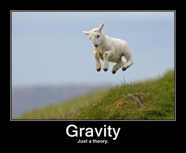 lamb_gravity.jpg