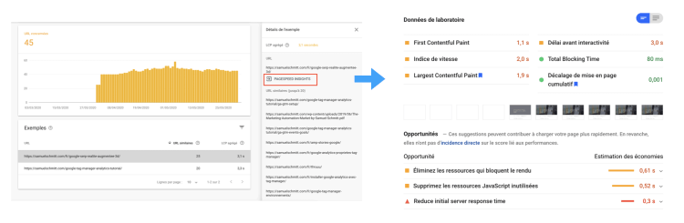 Step 2 - Analyzing pages with PageSpeed Insights